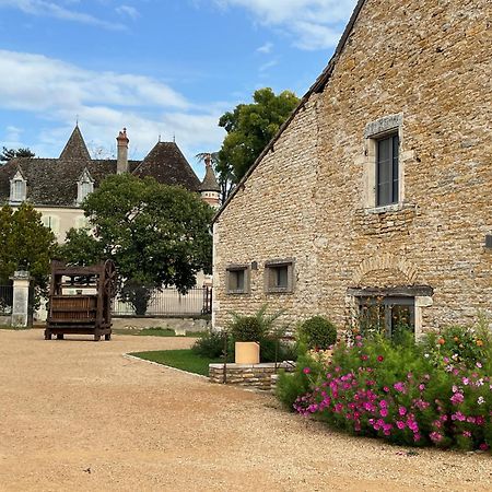 Chateau Du Mauny, Gites Et Chambres D'Hotes En Bourgogne Rosey Bagian luar foto