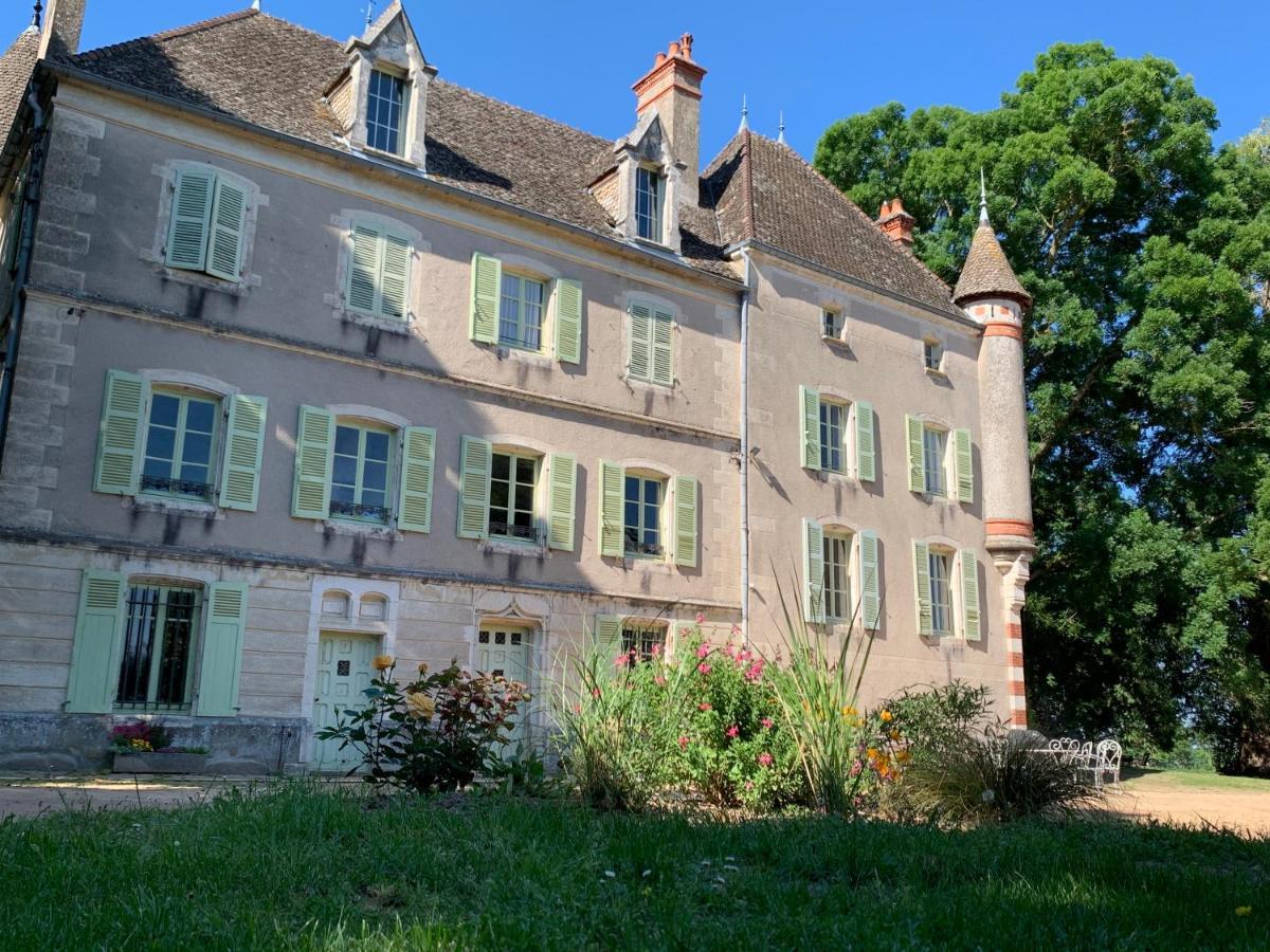 Chateau Du Mauny, Gites Et Chambres D'Hotes En Bourgogne Rosey Bagian luar foto