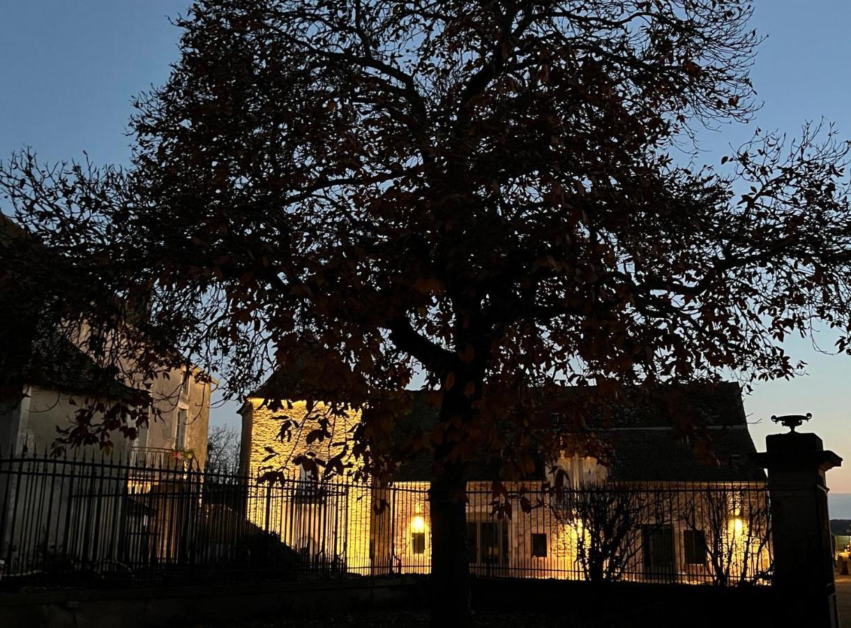 Chateau Du Mauny, Gites Et Chambres D'Hotes En Bourgogne Rosey Bagian luar foto