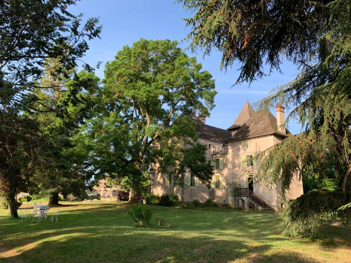 Chateau Du Mauny, Gites Et Chambres D'Hotes En Bourgogne Rosey Bagian luar foto