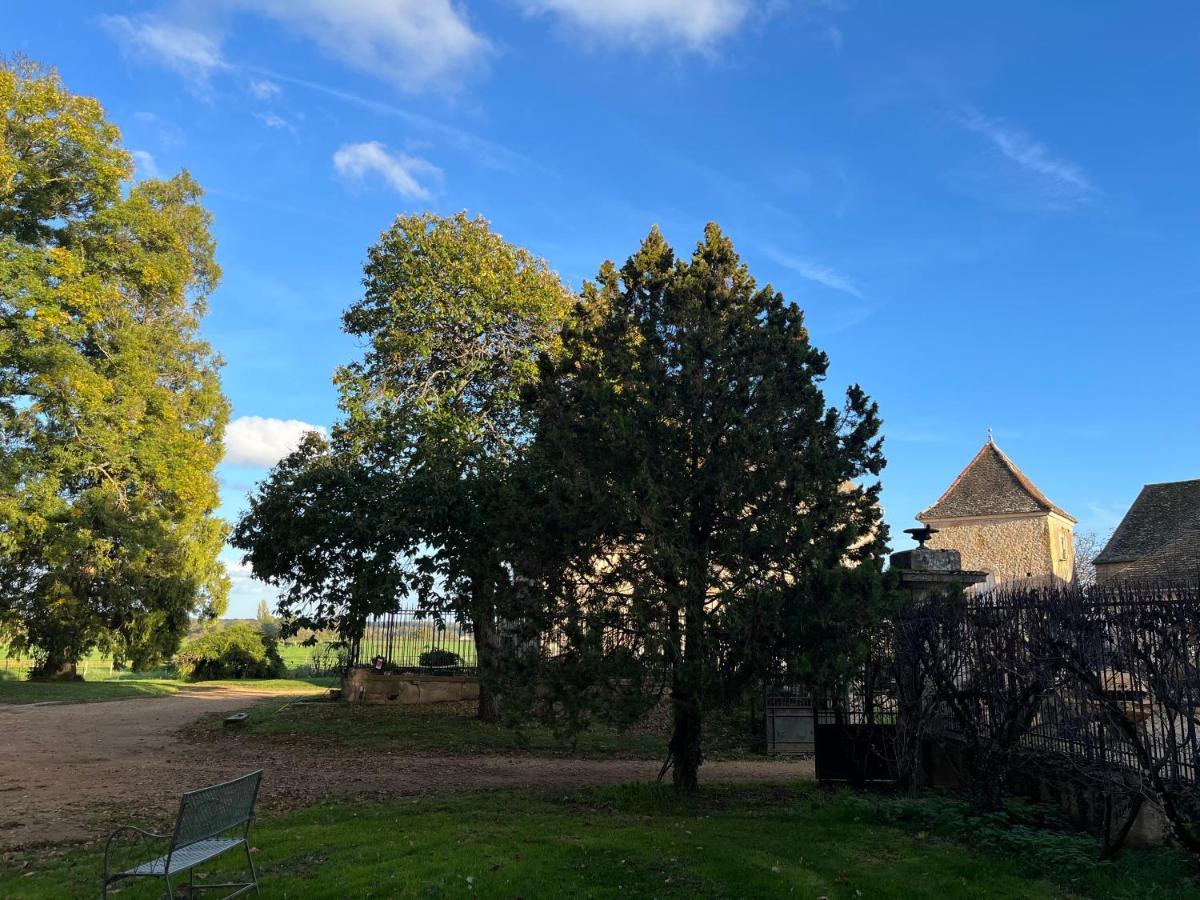 Chateau Du Mauny, Gites Et Chambres D'Hotes En Bourgogne Rosey Bagian luar foto