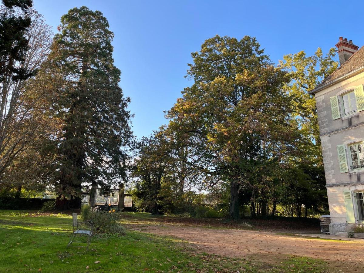 Chateau Du Mauny, Gites Et Chambres D'Hotes En Bourgogne Rosey Bagian luar foto