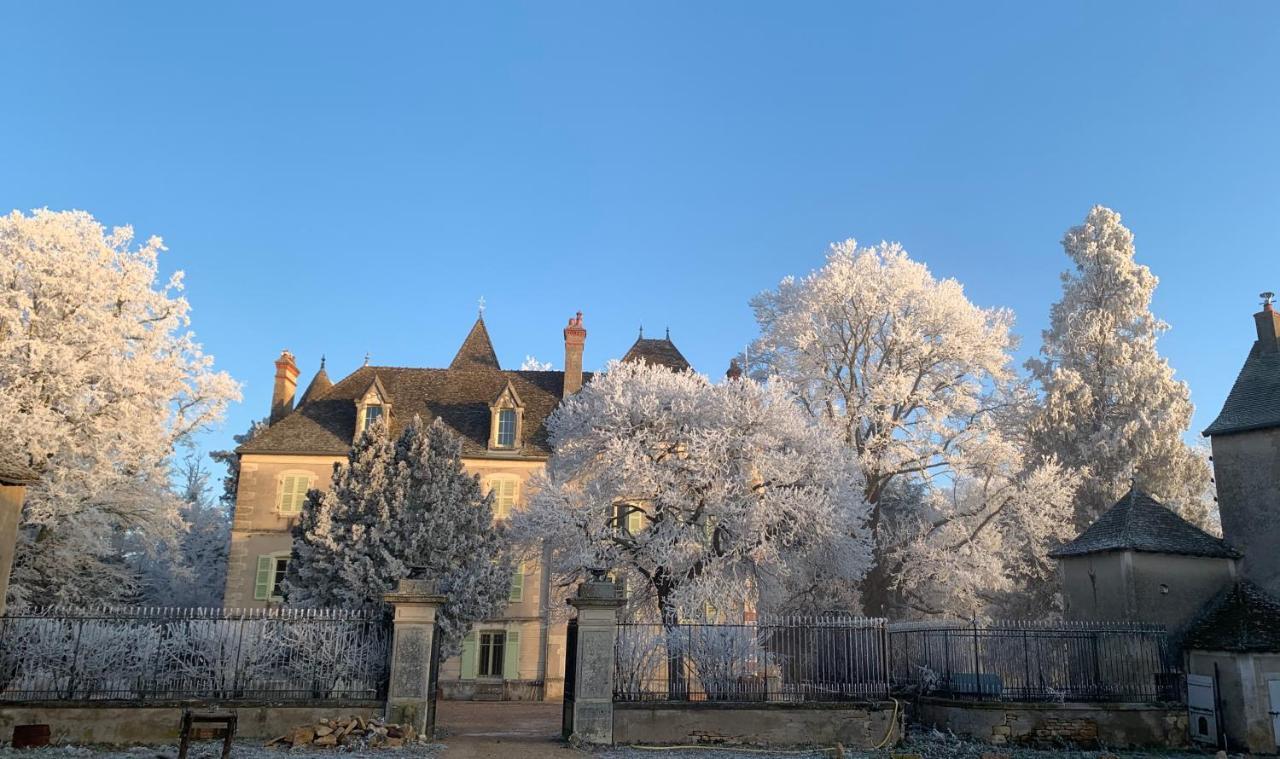 Chateau Du Mauny, Gites Et Chambres D'Hotes En Bourgogne Rosey Bagian luar foto