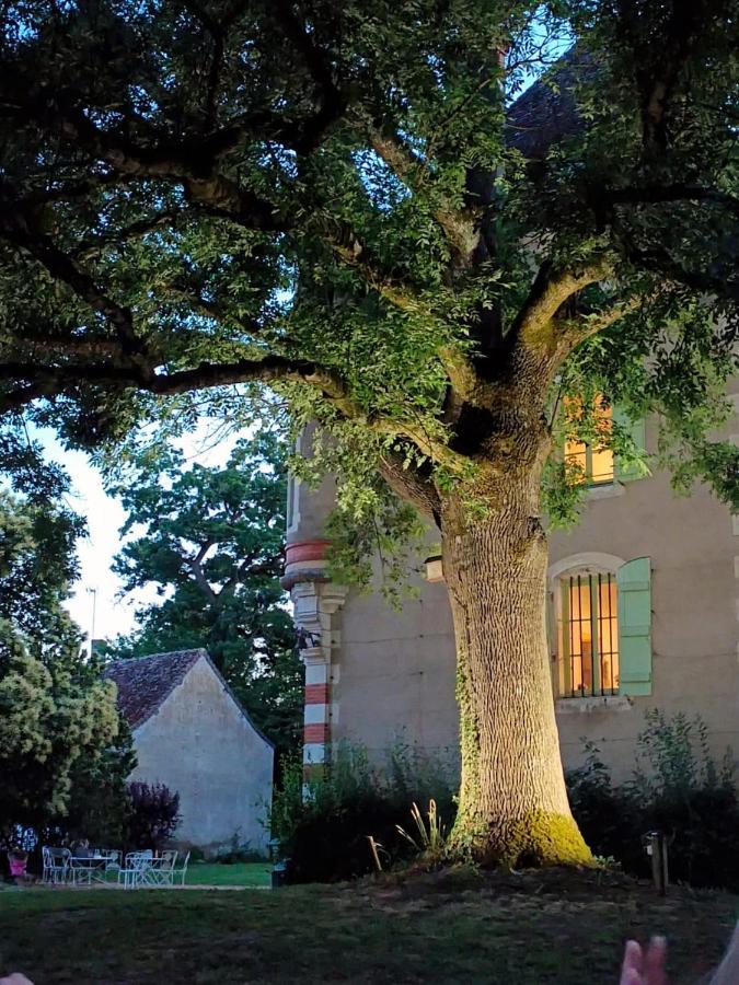 Chateau Du Mauny, Gites Et Chambres D'Hotes En Bourgogne Rosey Bagian luar foto