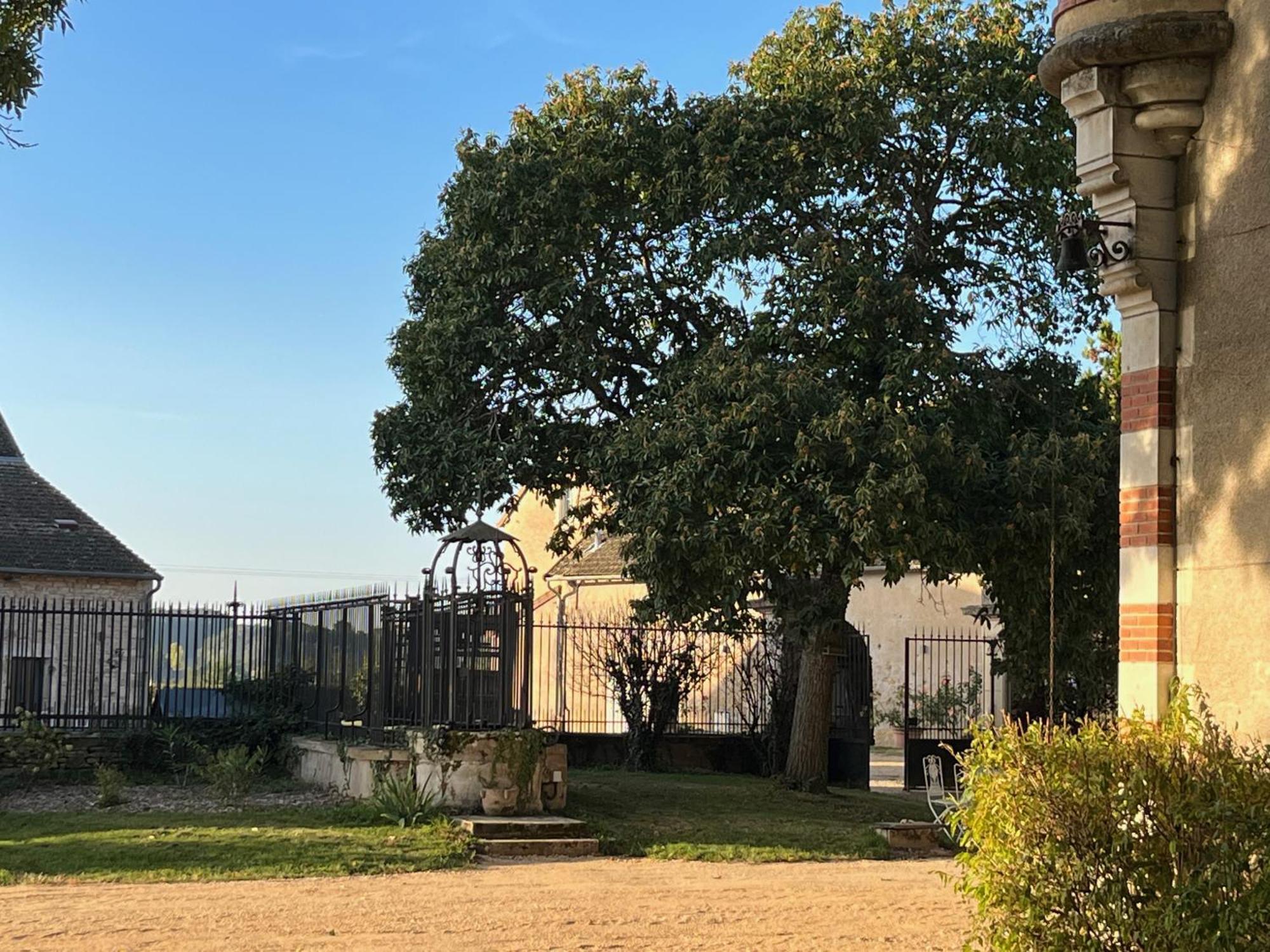 Chateau Du Mauny, Gites Et Chambres D'Hotes En Bourgogne Rosey Bagian luar foto