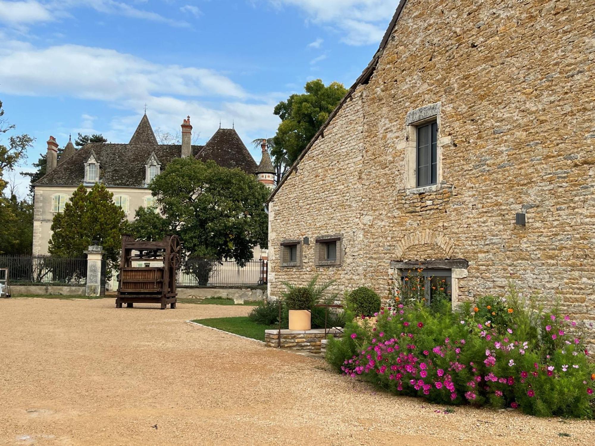 Chateau Du Mauny, Gites Et Chambres D'Hotes En Bourgogne Rosey Bagian luar foto